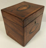 19th Century English Tea Caddy with Marquetry Sea Shell Inlay