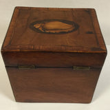 19th Century English Tea Caddy with Marquetry Sea Shell Inlay